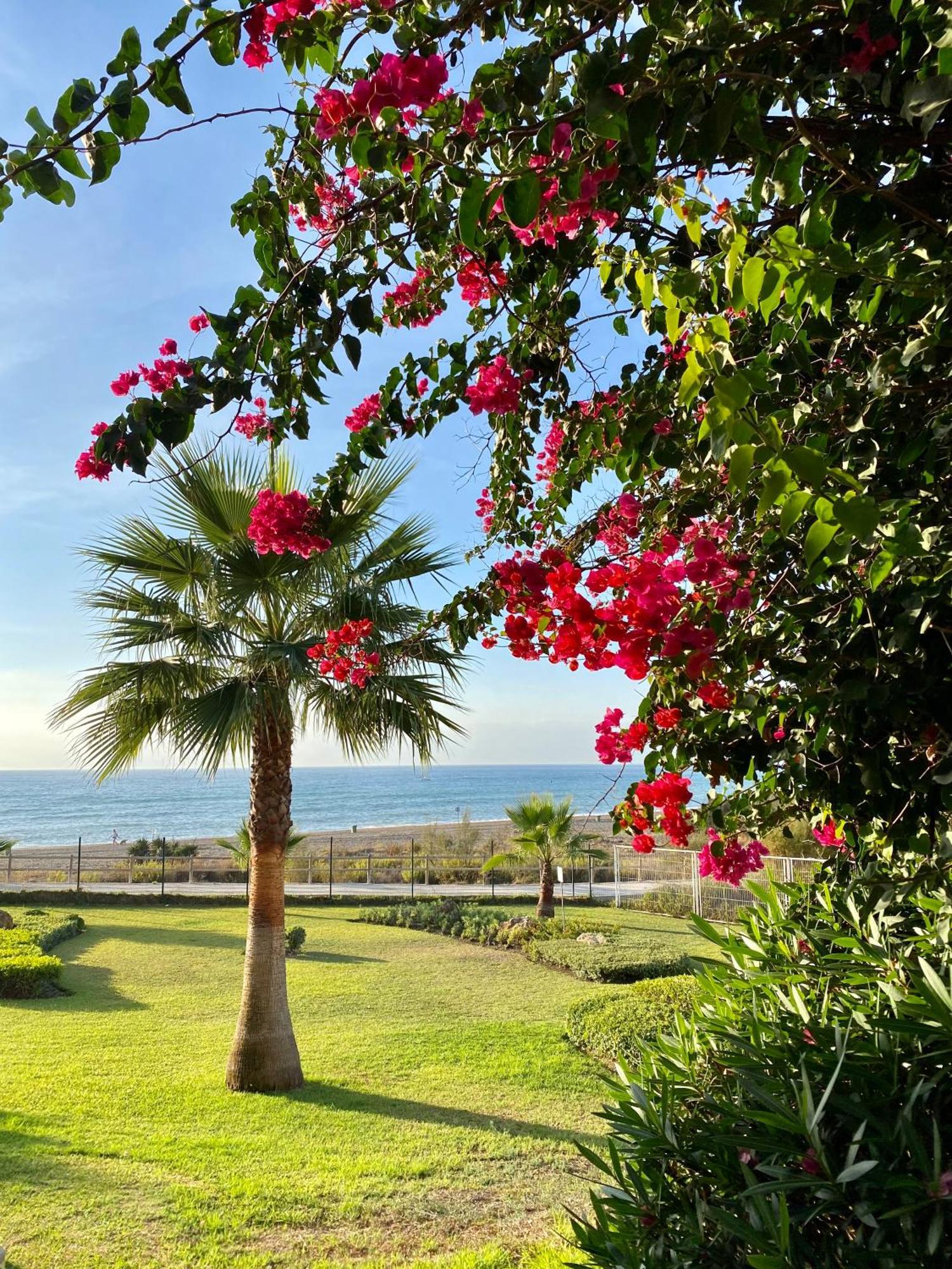 Sunshine Beach Front Complex, Wifi, Modern Casares Dış mekan fotoğraf